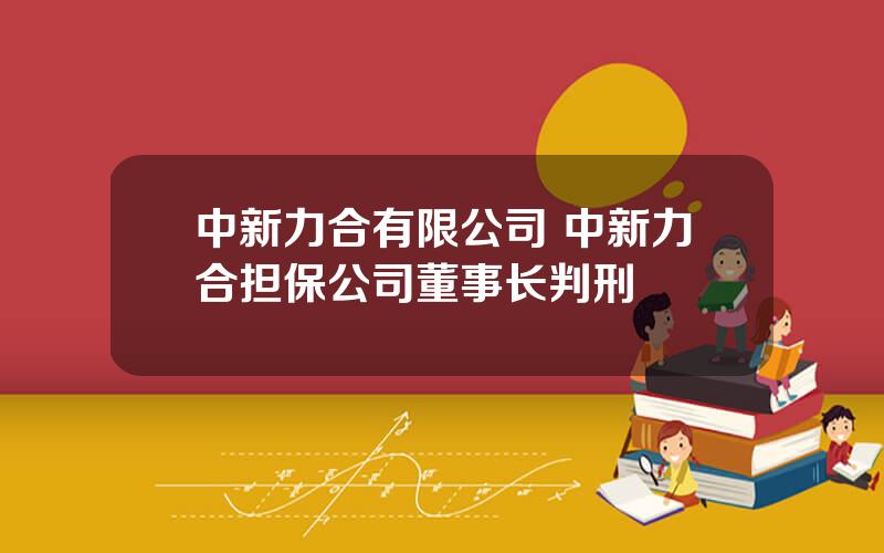 中新力合有限公司 中新力合担保公司董事长判刑